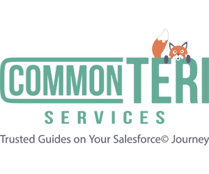 Common Teri Services